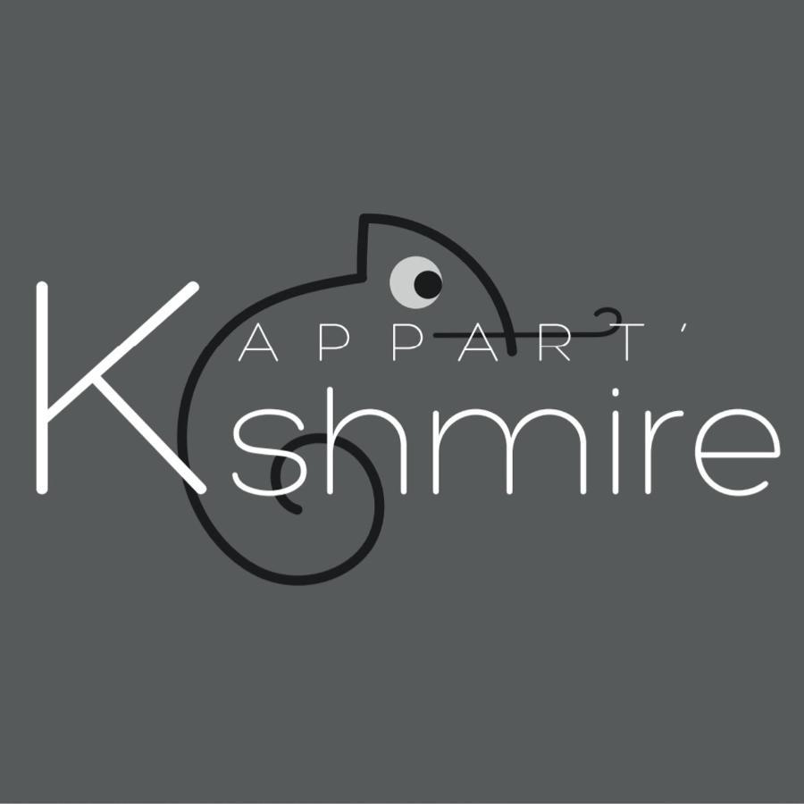 L'Appart K-Shmire- Cosy Et Spacieux, 4 Pers Le Mans Esterno foto